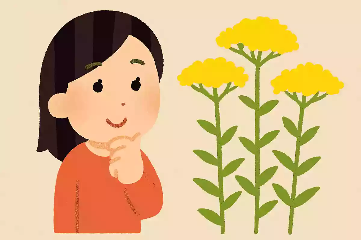 「女郎花」は何と読む？NEW!