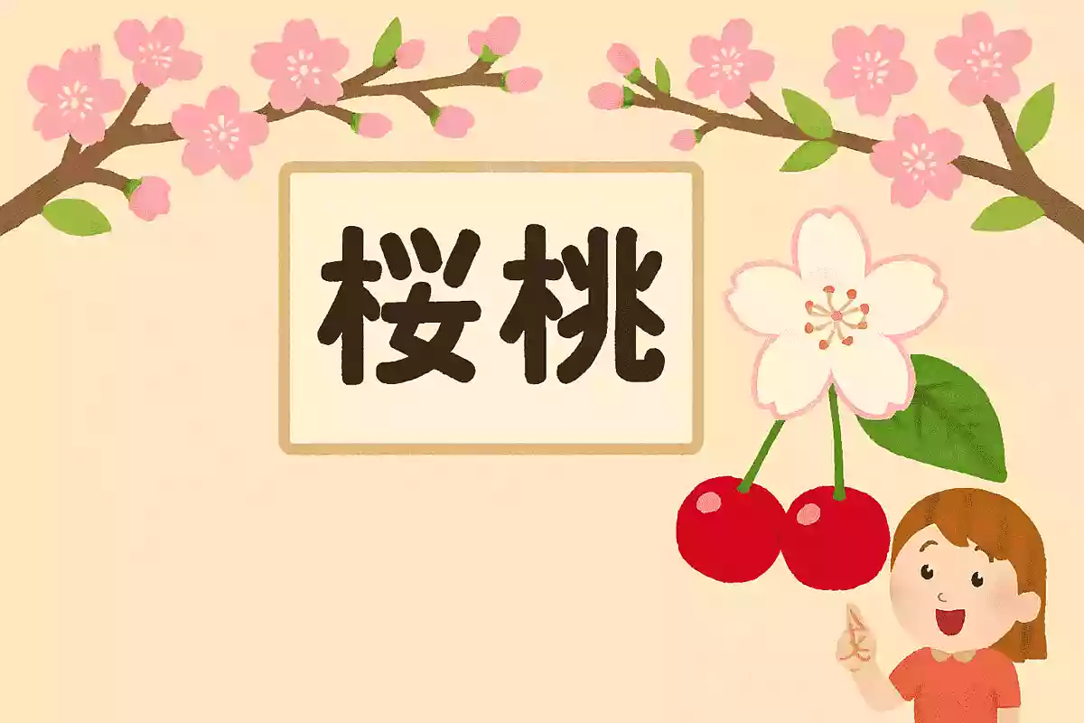「桜桃」という花の読み方は次のうちどれでしょうか?NEW!