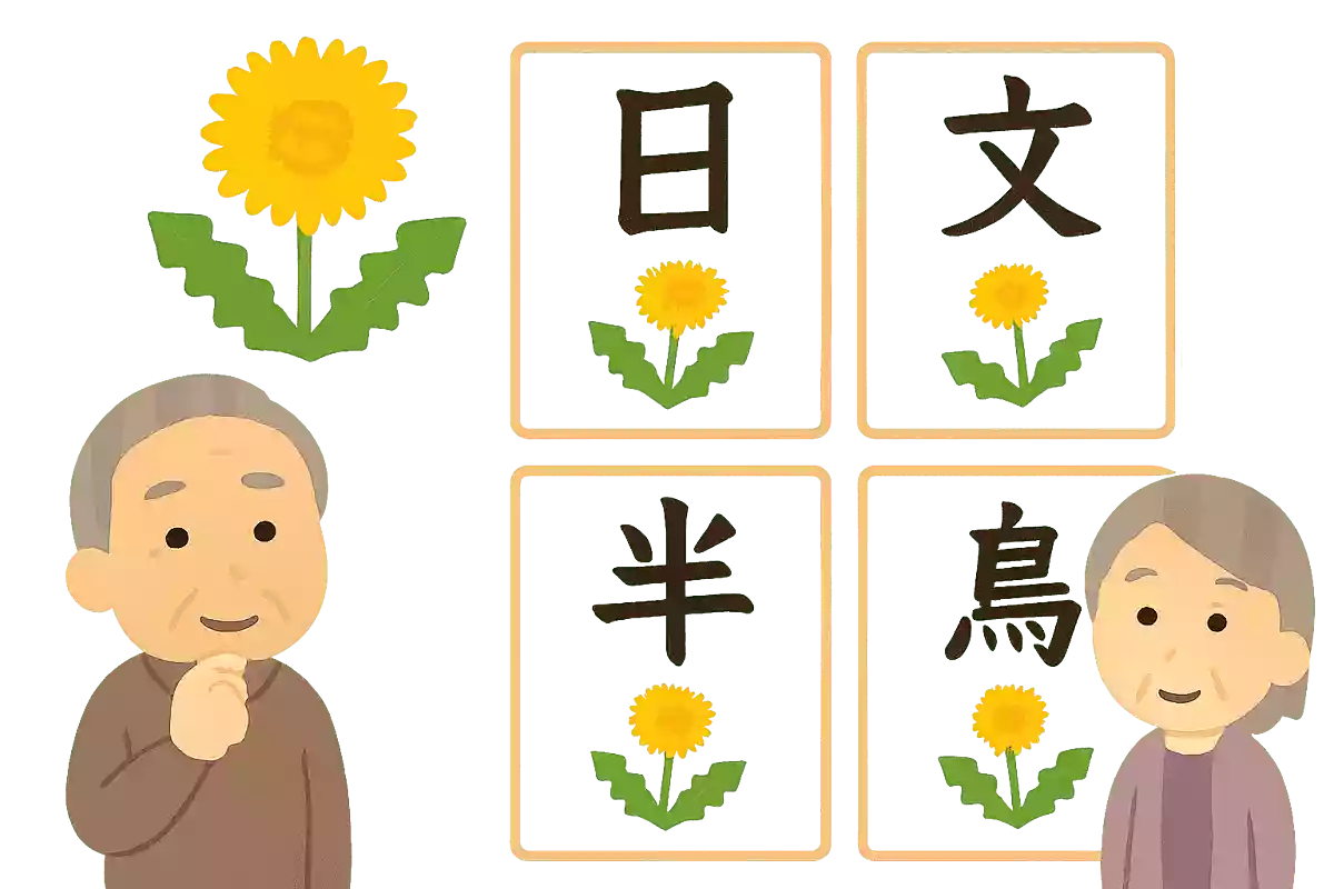 蒲公英NEW!