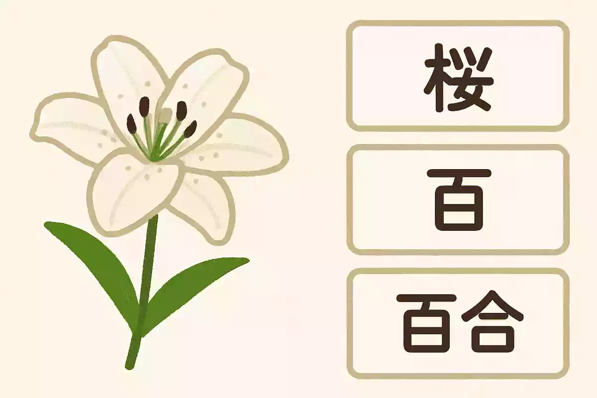 「ゆり」の花を漢字で書くと次のうちどれでしょうか？NEW!