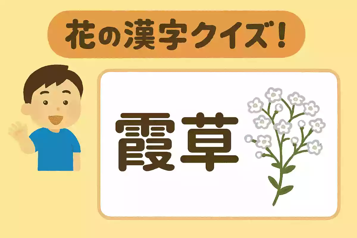 「霞草」の読み方は次のうちどれでしょうか?NEW!