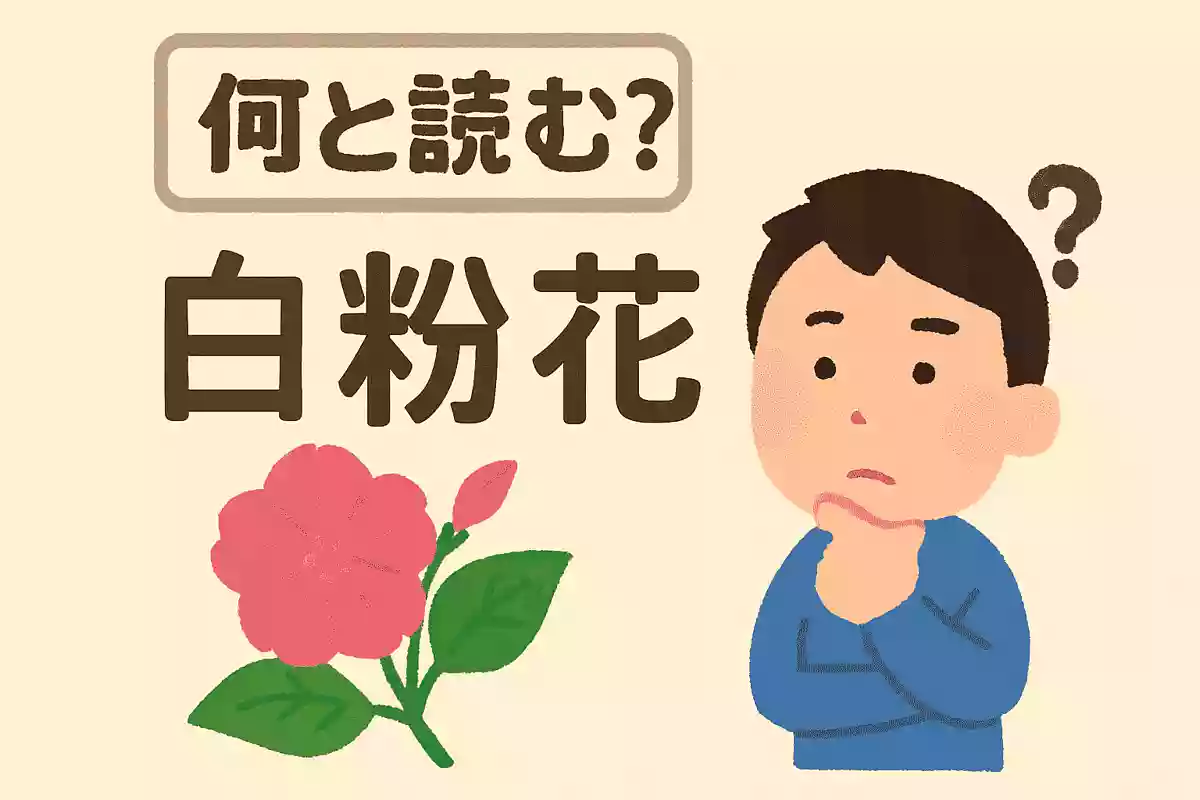 「白粉花」は何と読む？NEW!