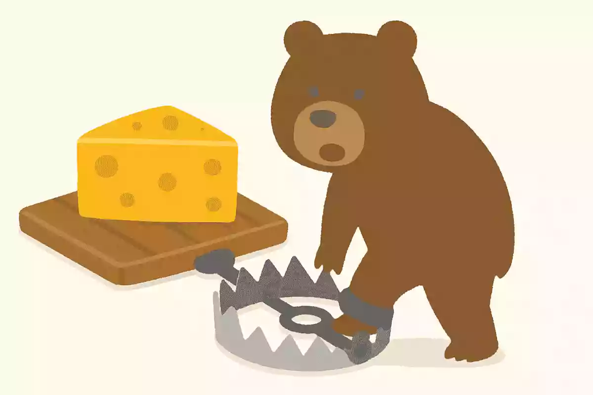 大きい餌と大きい罠には大きい獲物がかかってきます。NEW!ハリソン山中