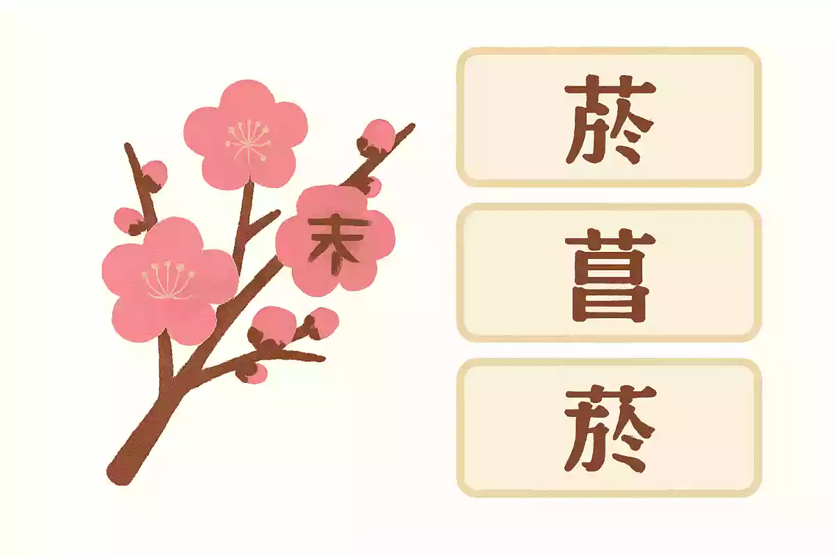 「ウメ」の花を漢字で書くと次のうちどれになるでしょう?NEW!