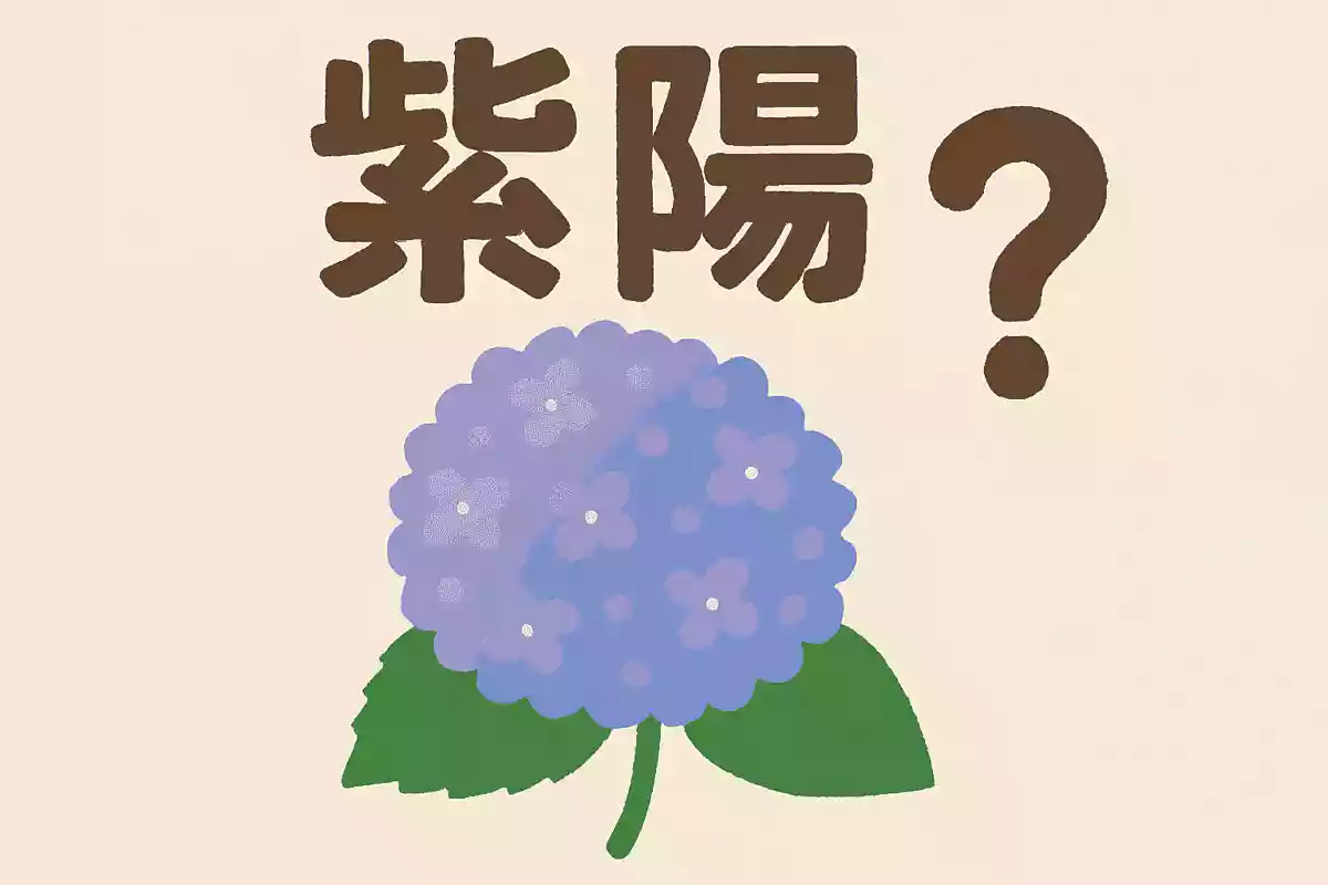 「紫陽花」は何と読む？NEW!