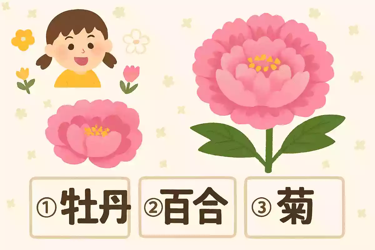 「ぼたん」の花を漢字で書くと次のうちどれでしょうか？NEW!