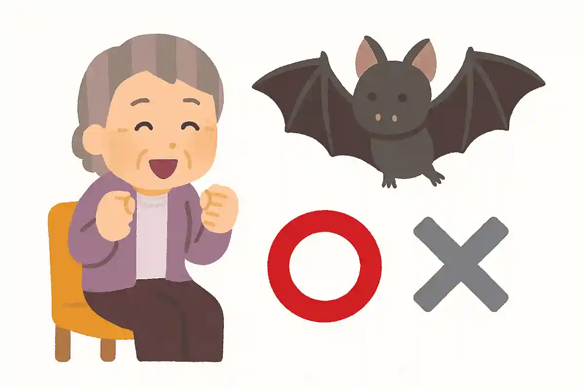 コウモリは鳥類である。○か×か?NEW!
