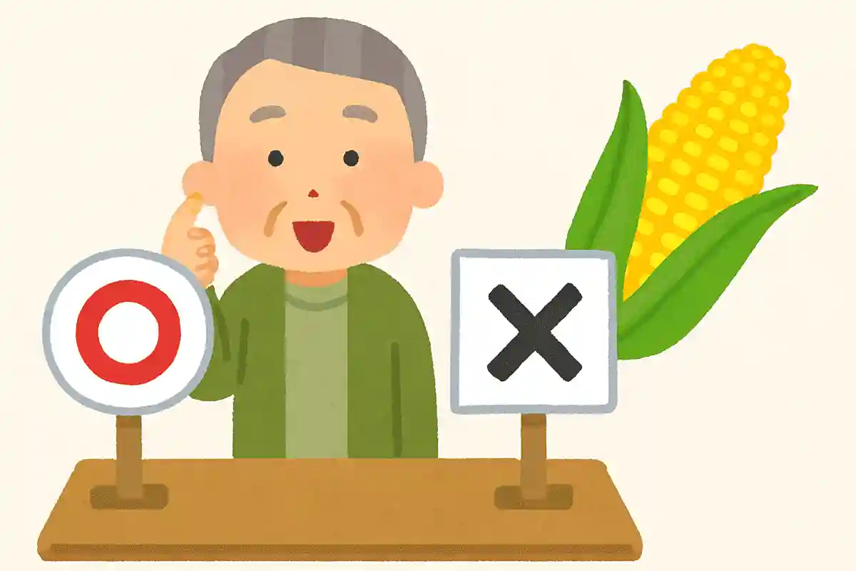 とうもろこしの粒の数は偶数と決まっている。○か×か?NEW!