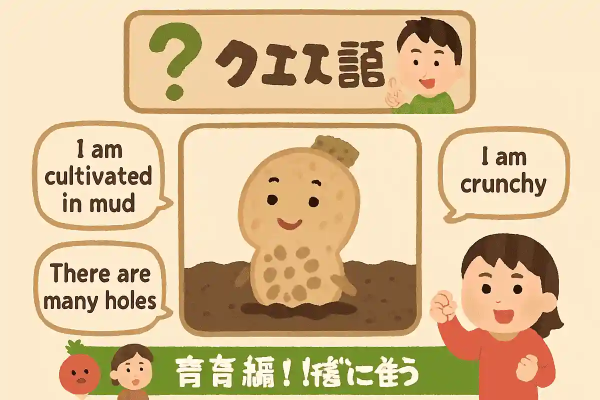 私は泥の中で栽培されます。シャキシャキです。穴がたくさん開いています。NEW!