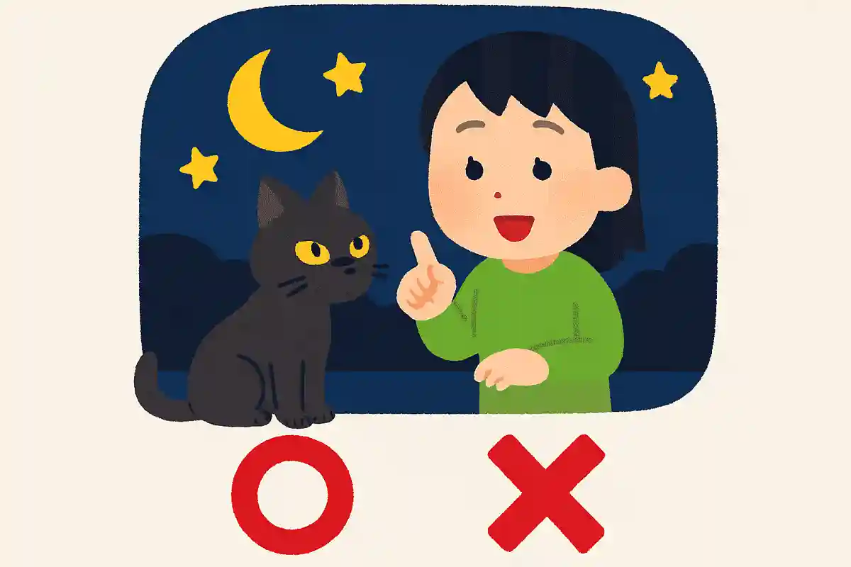 ねこは夜でもよく見える、○か×か?NEW!