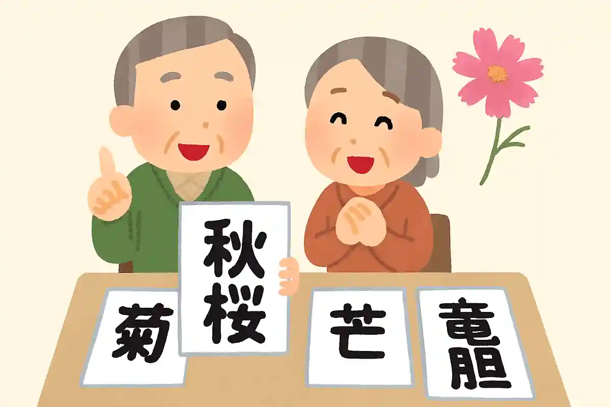 秋桜NEW!