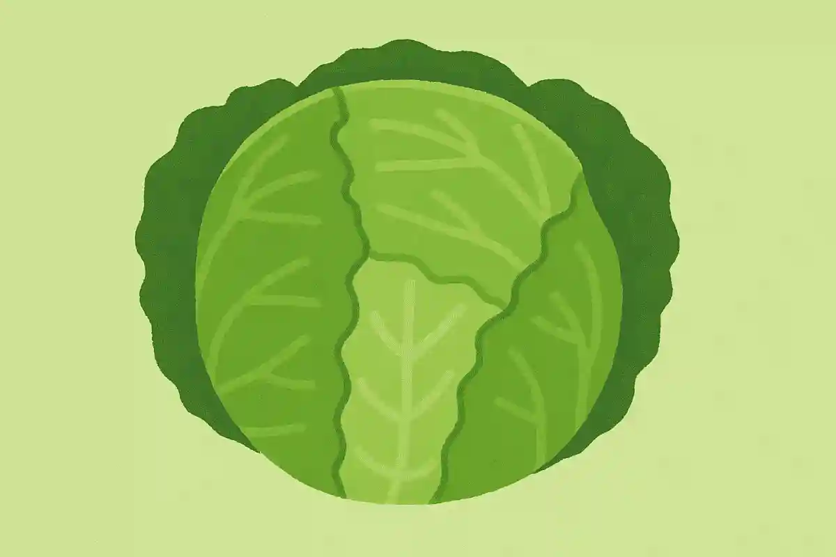 「札幌大球」はどの野菜の品種でしょう？