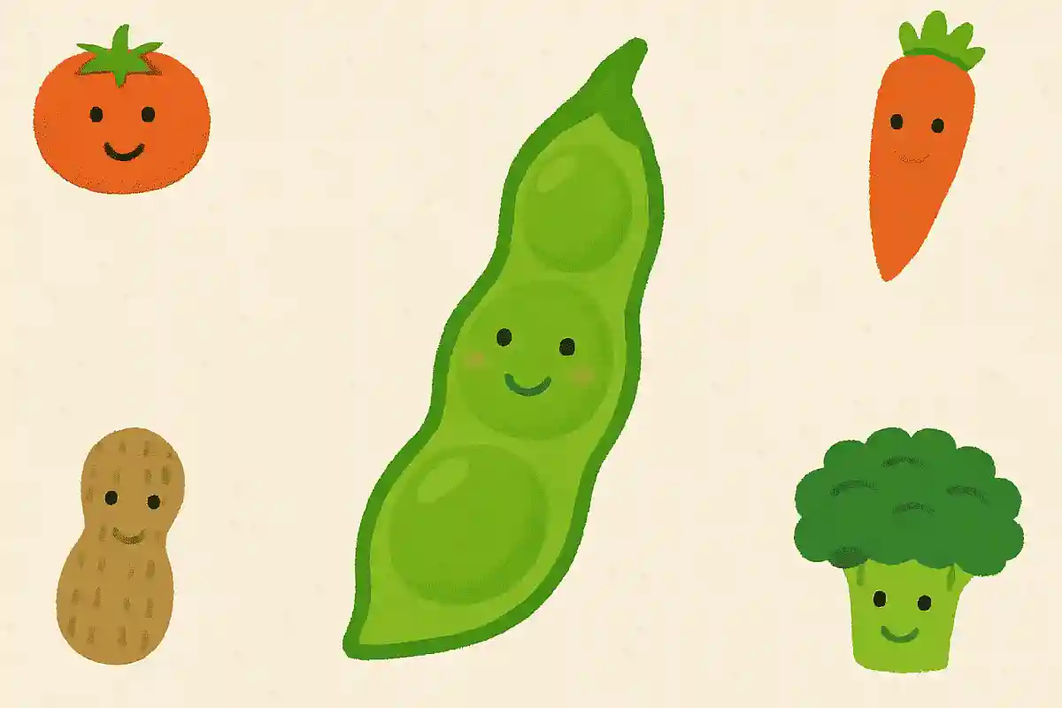 野菜編！私は誰でしょうクイズ。いくつ解けるか挑戦しよう！