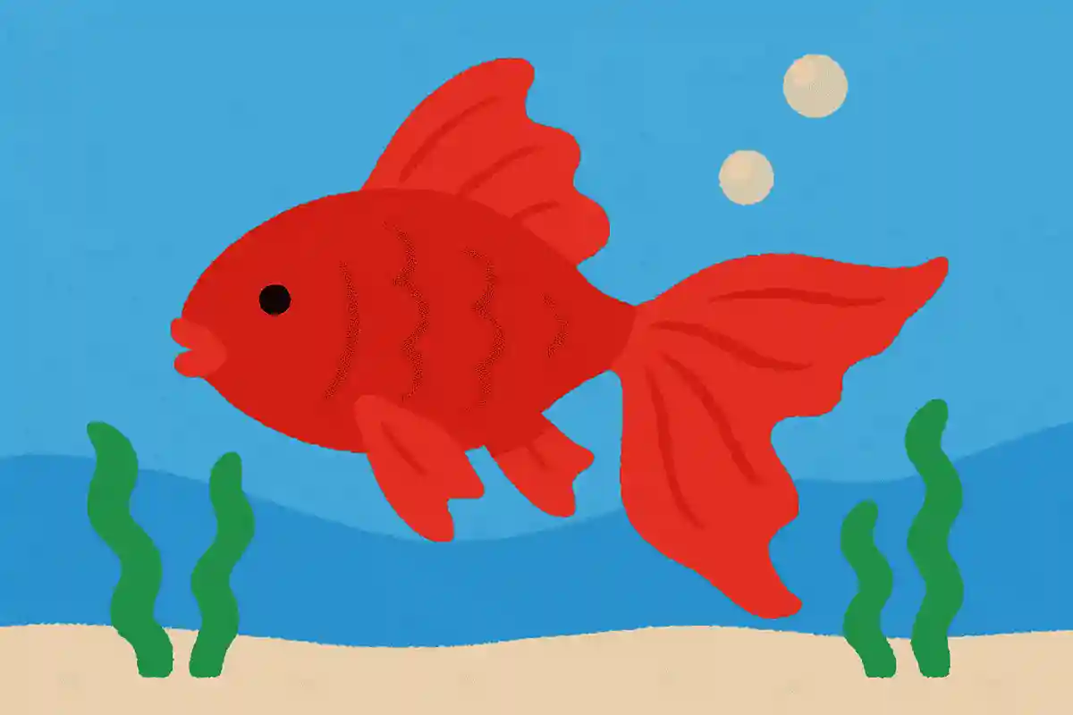 ヒラヒラしている、赤い色をしている、水の中にいる、これは何？NEW!