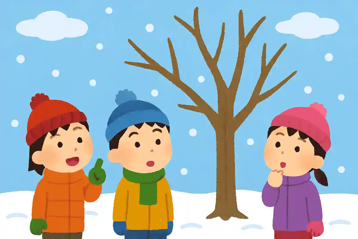 冬に葉っぱがなくなるのはどうしてでしょうかNEW!