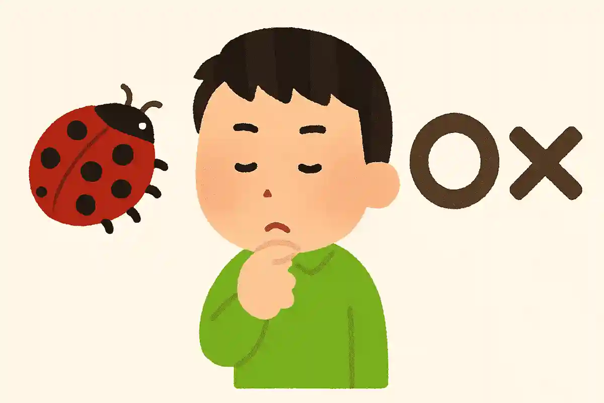 てんとう虫は人の役に立つ虫である、○か×か?NEW!