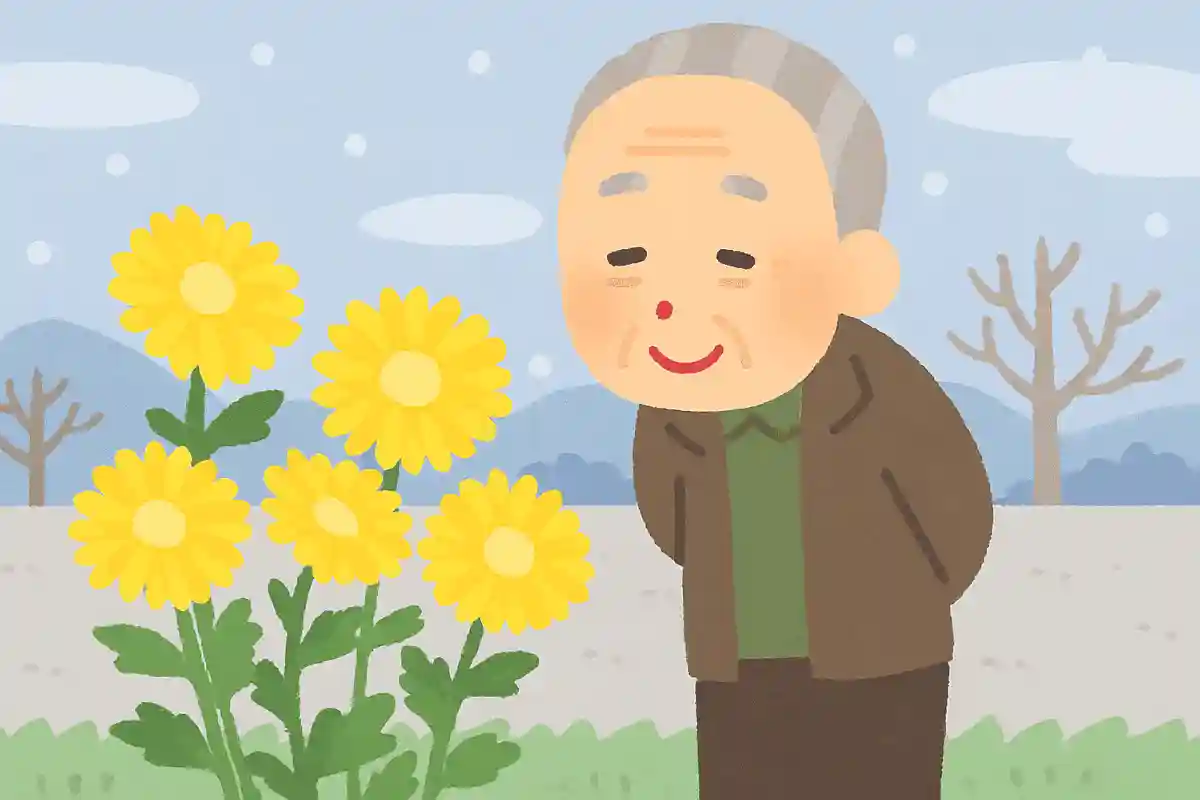 冬菊の まとふはおのが ひかりのみNEW!水原秋桜子