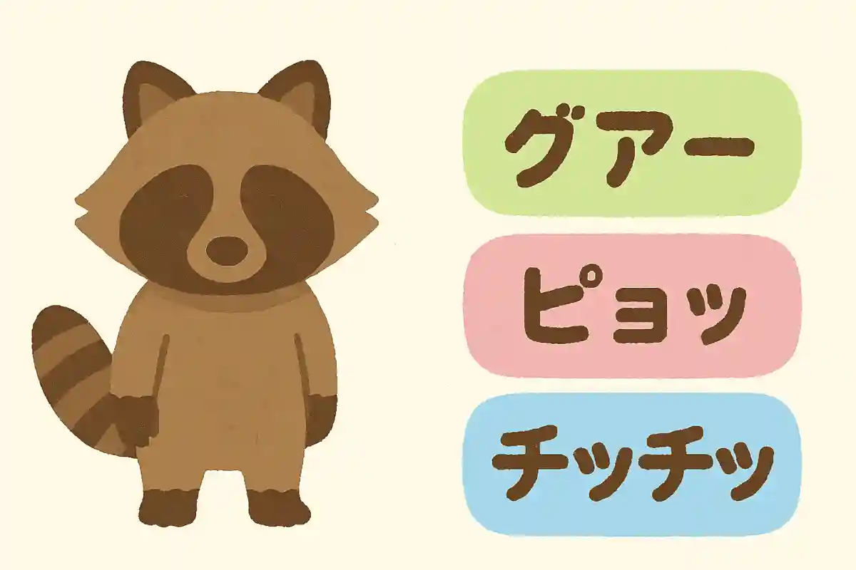 タヌキの鳴き声は次のうちどれでしょうか?NEW!