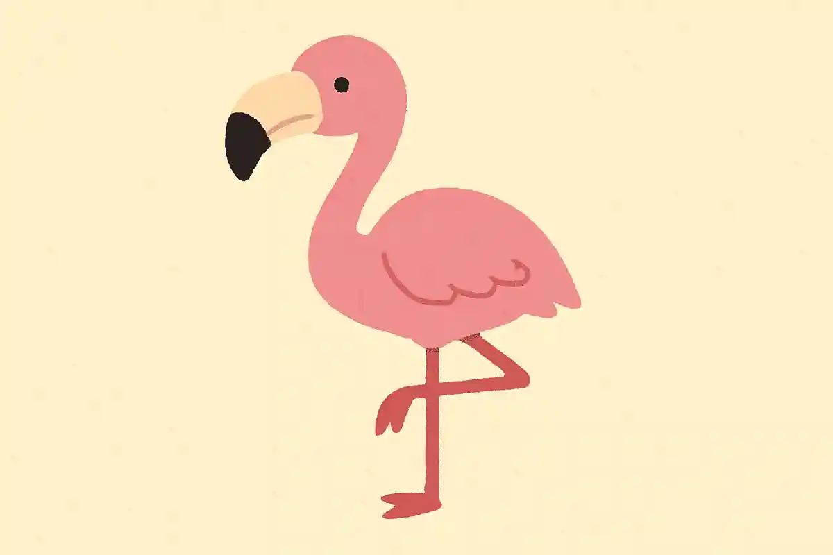 私の体はピンクです。くちばしの形が特徴的です。片足だけで立ちます。NEW!