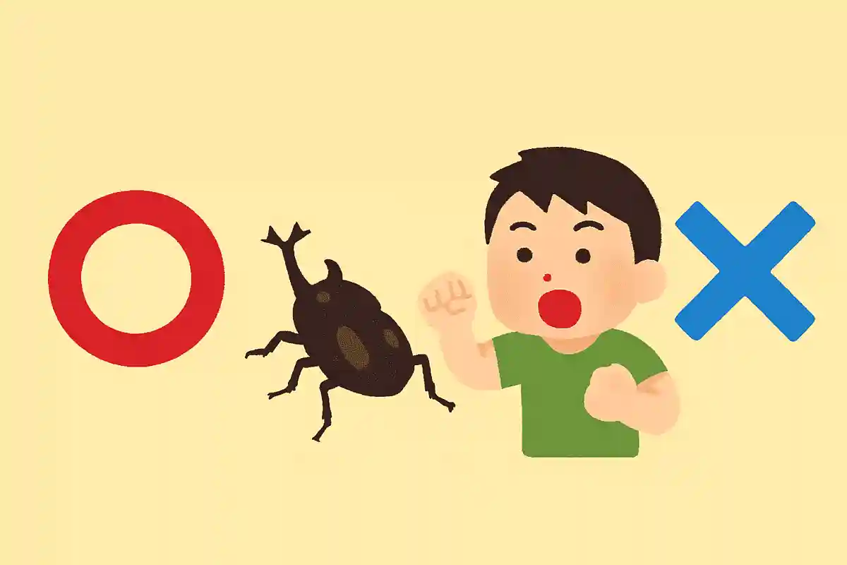 昆虫には6本の足がある、○か×か?NEW!