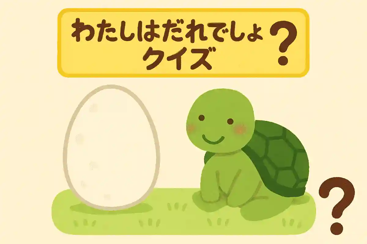 私は卵から生まれます。のんびり屋さんです。硬い甲羅があります。NEW!