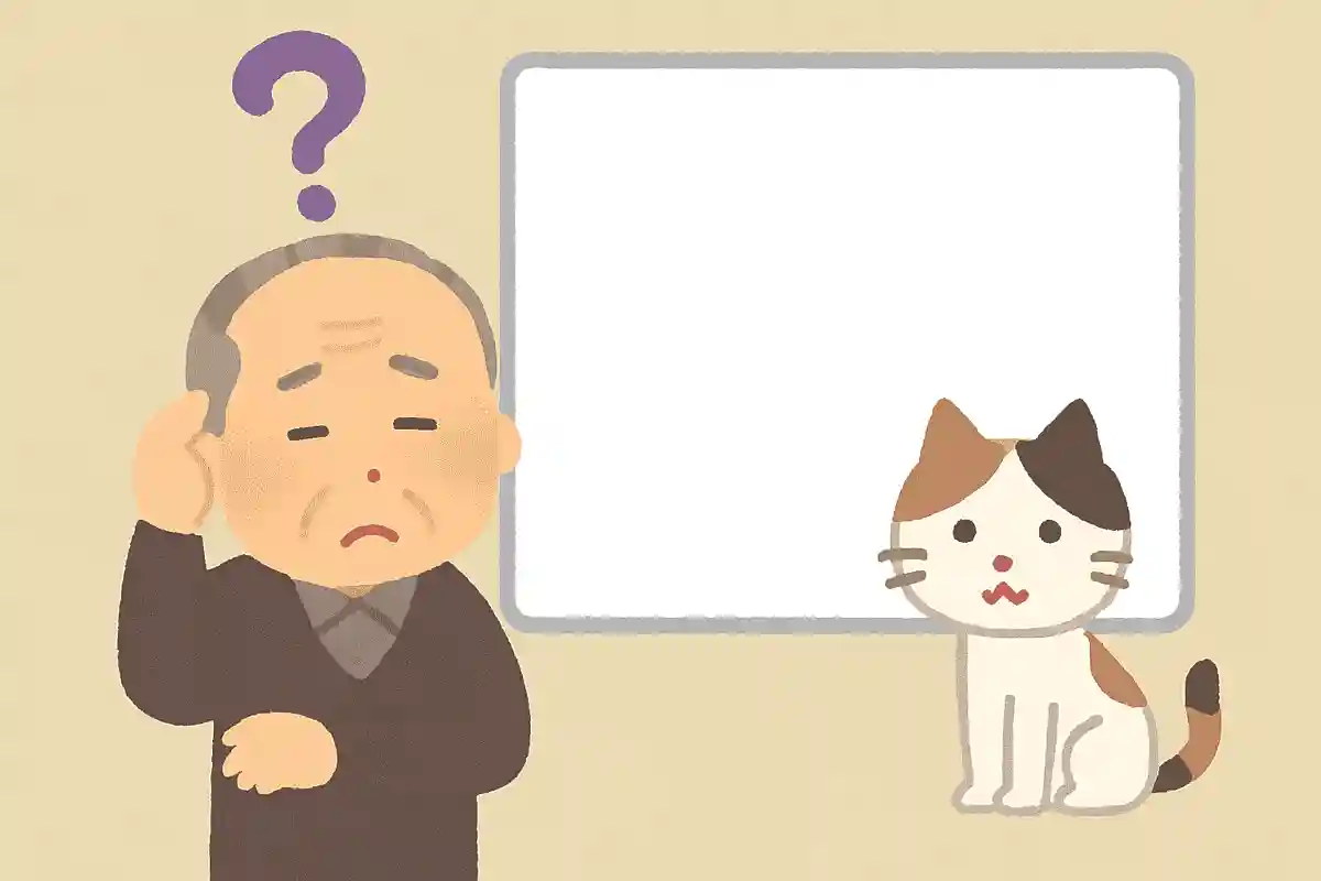 夏目漱石が飼っていた猫の名前は何でしょうか?NEW!