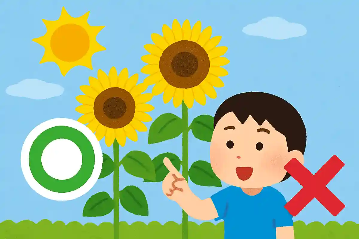 ひまわりは太陽の方向を向く、○か×か?NEW!