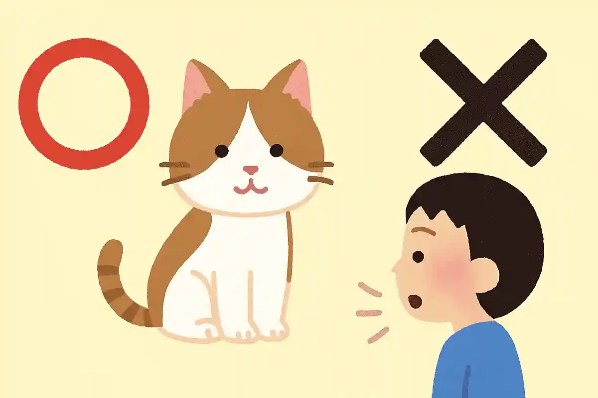 ねこは人の言葉を聞き取ることができる、○か×か?NEW!