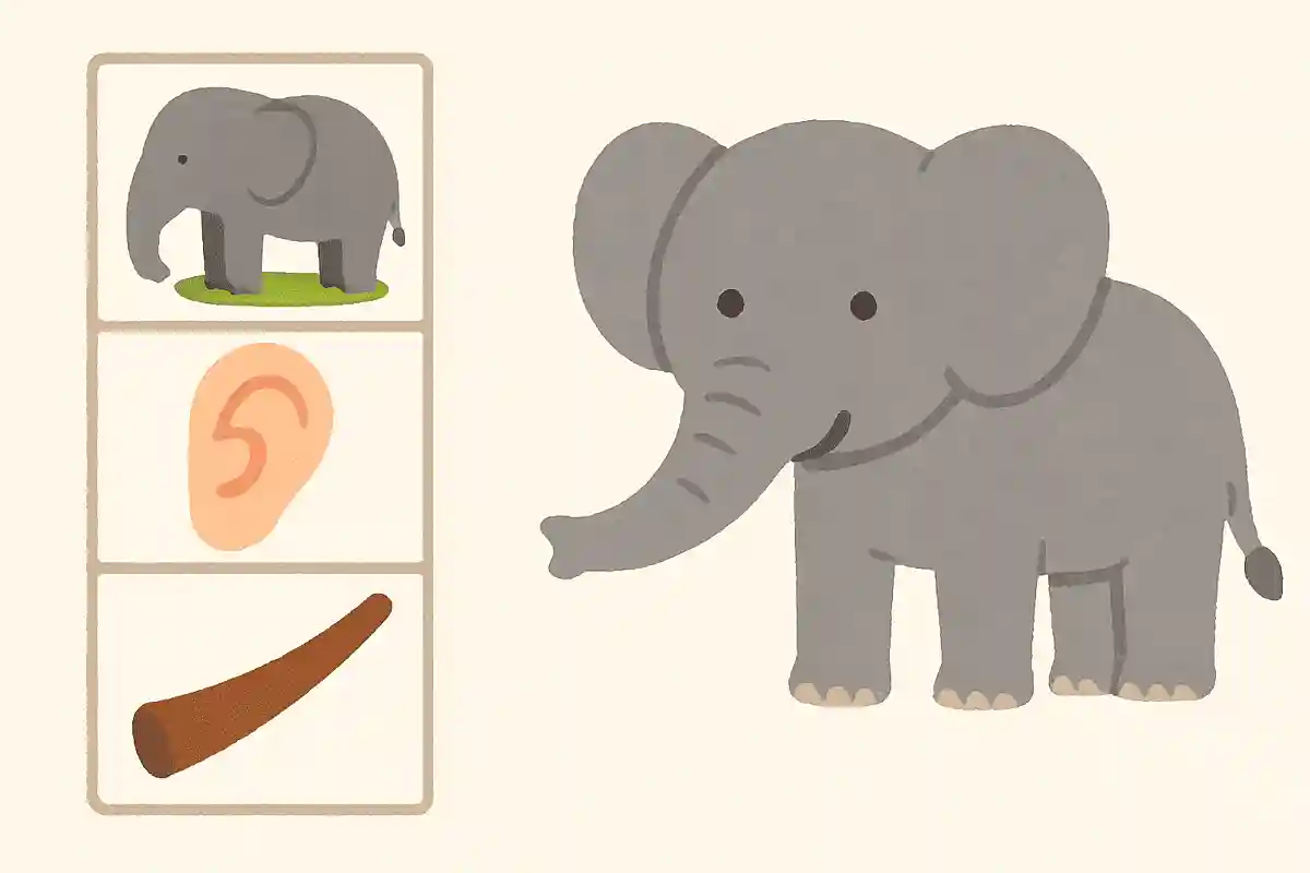 体が大きい、耳も大きい、鼻が長い、これは何?NEW!