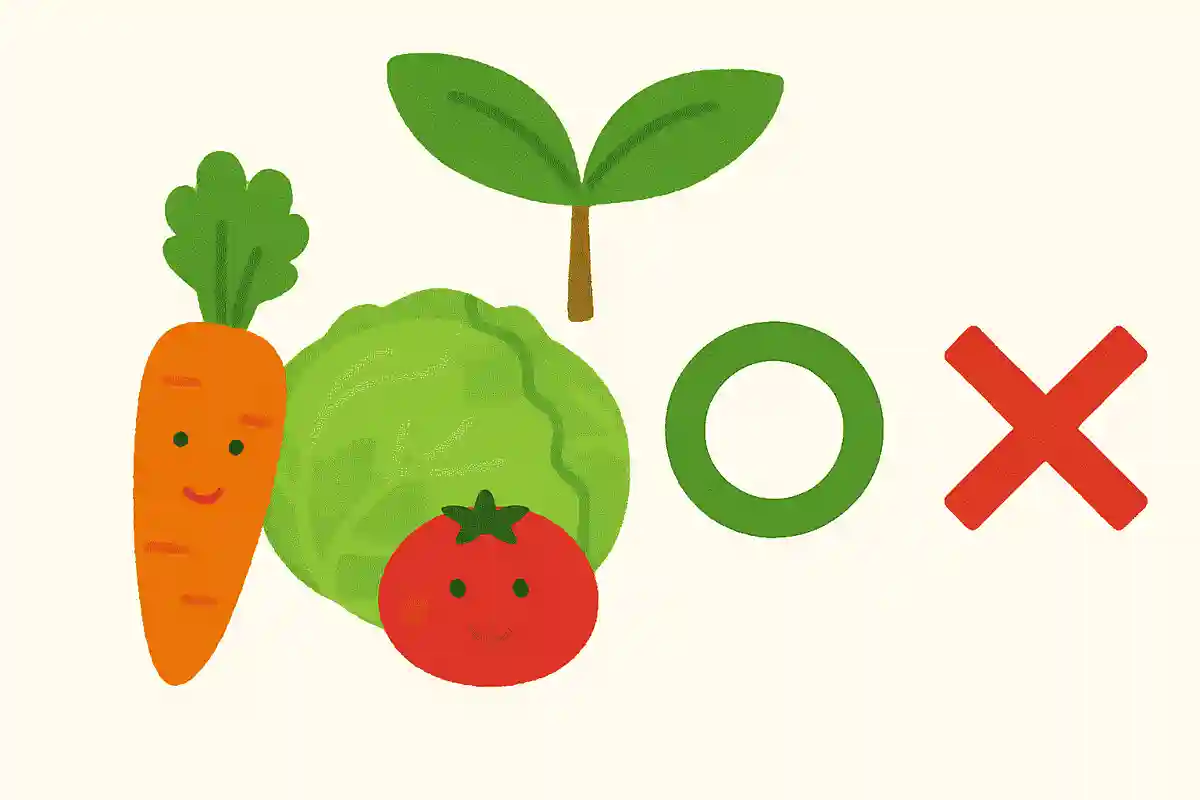 野菜も植物の仲間である、○か×か?NEW!