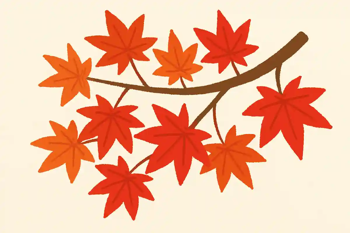 日本で1番よく見られる紅葉の品種は「イロハモミジ」NEW!