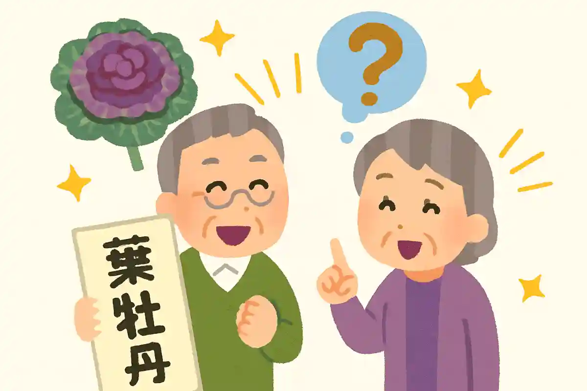 葉牡丹NEW!
