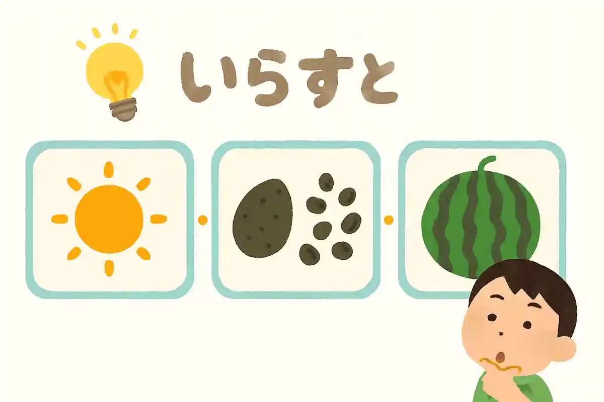 夏に獲れる、種がたくさんある、しま模様、これは何?NEW!
