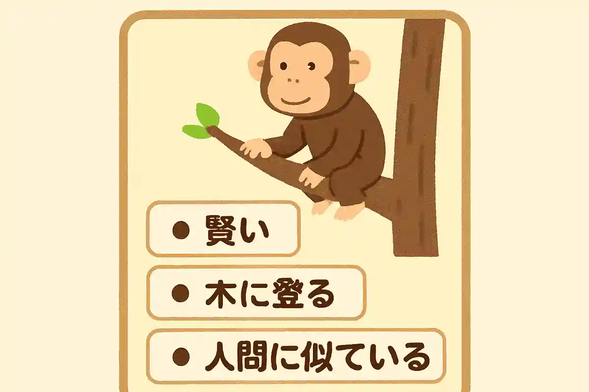 賢い、木に登る、人間に似ている、これは何？NEW!