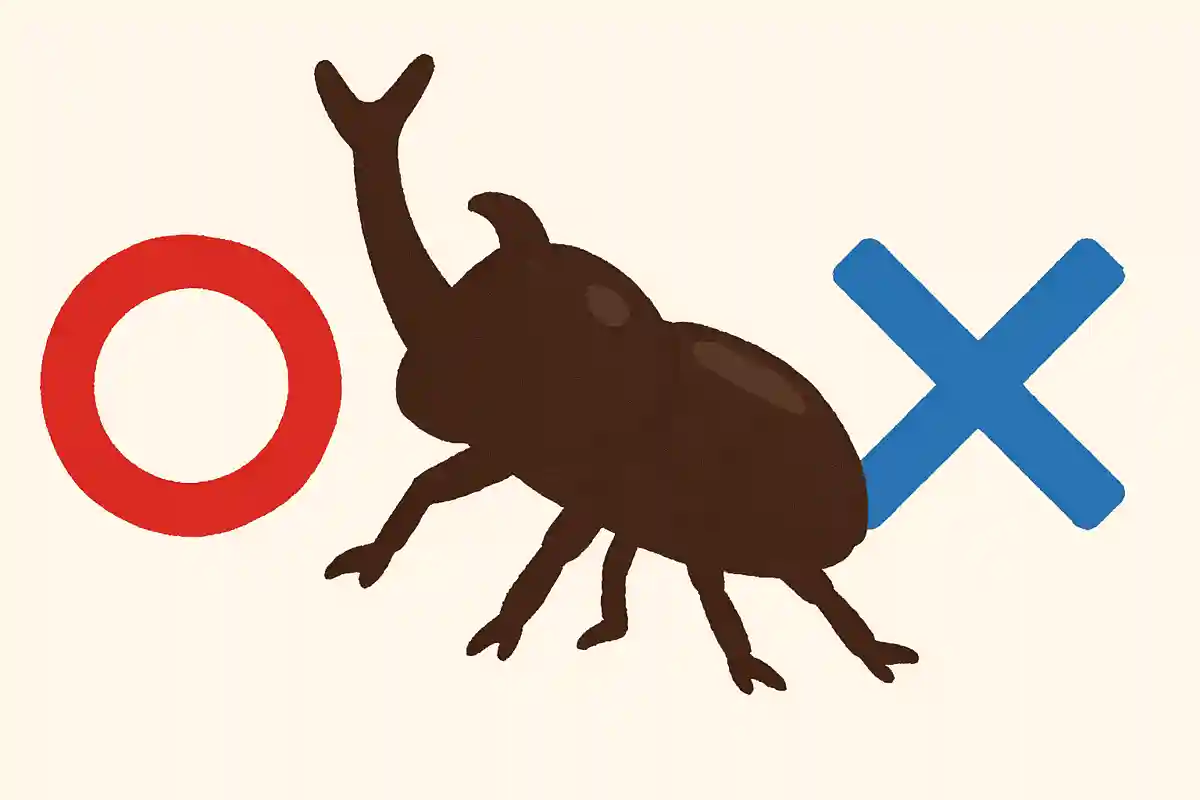 カブトムシのオスはツノを持っている、○か×か?NEW!