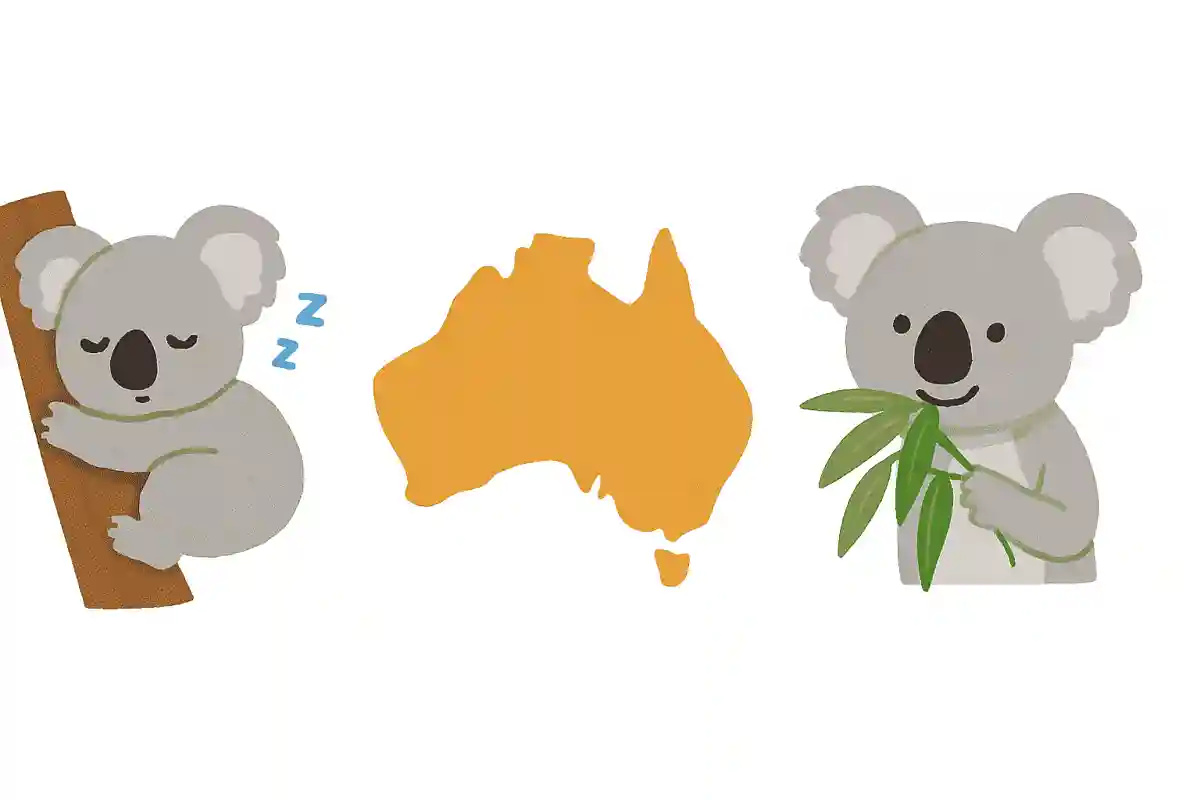 よく寝ている、オーストラリアにいる、ユーカリの葉を食べる、これは何?NEW!