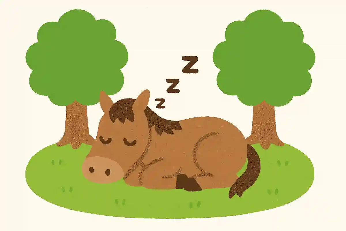 馬は寝るとき、どういうかっこうをするでしょう？NEW!