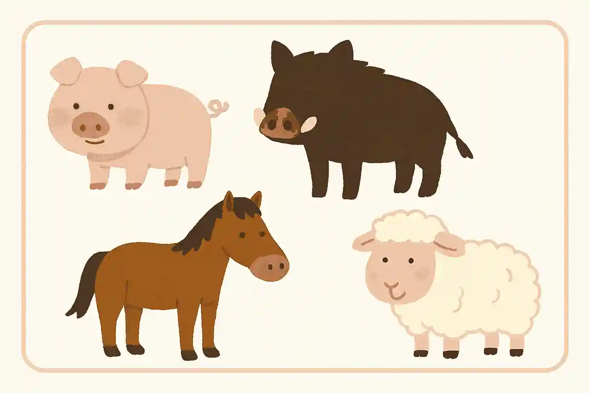 豚は何の動物を品種改良した動物でしょう？NEW!