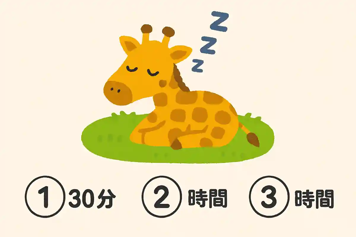 キリンは1日どれくらい睡眠をとるでしょう？NEW!