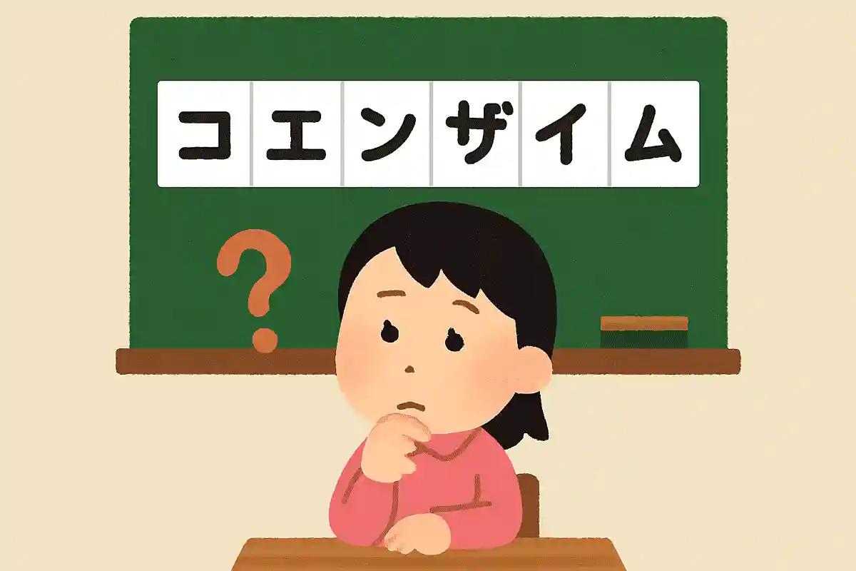 「コエンザイム」はどこで区切る？NEW!