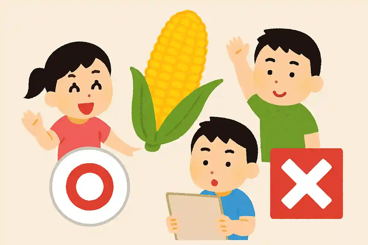 トウモロコシの粒の数は偶数である。〇か×か？NEW!