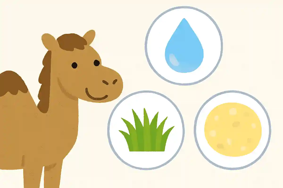 ラクダのコブの中身はなんでしょう？NEW!