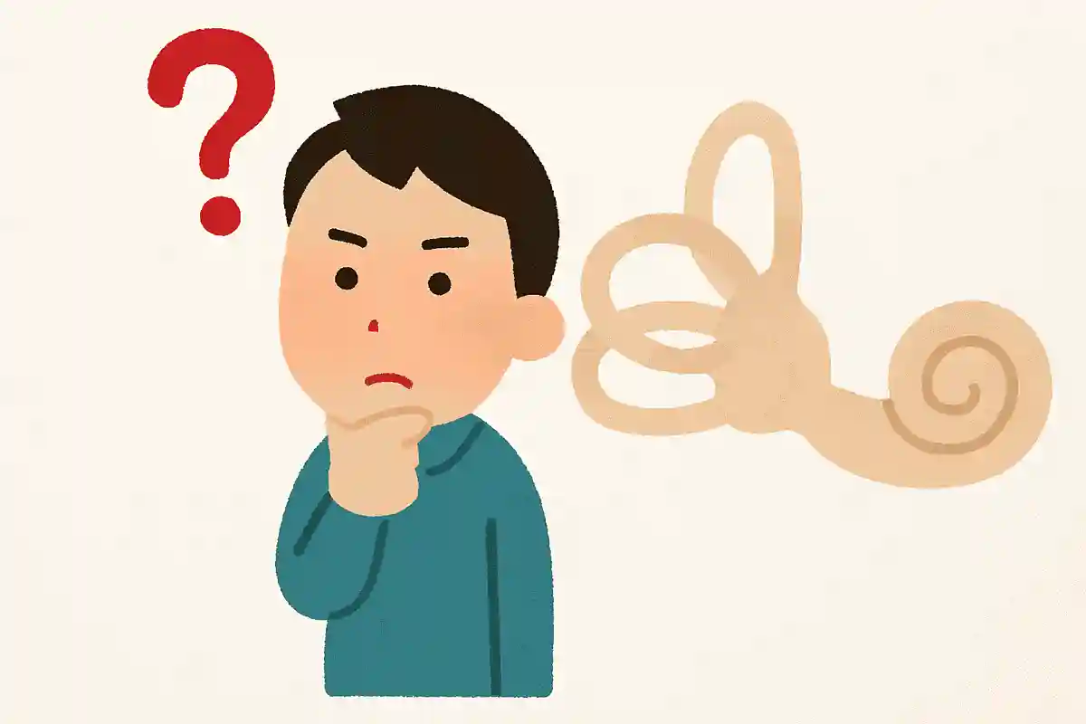 「三半規管」はどこで区切る？NEW!