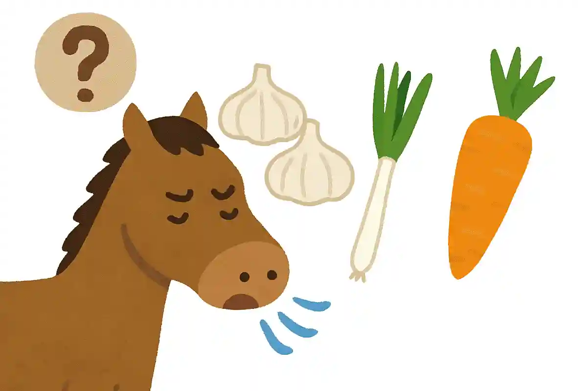 馬が嫌がる匂いとして一般的なのは次のうちどれでしょうNEW!