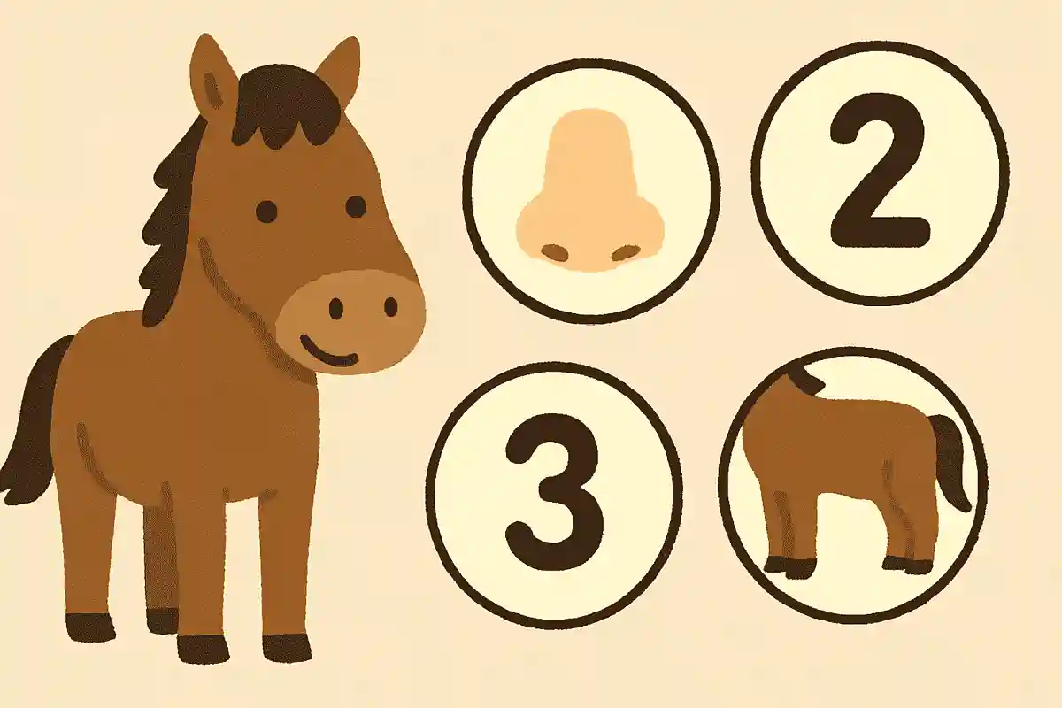 馬はどこで呼吸しているでしょう？NEW!