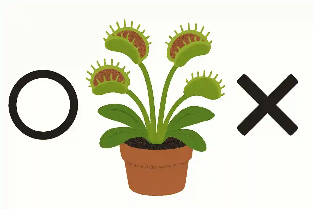 虫を食べてしまう植物がある。〇か×か？NEW!