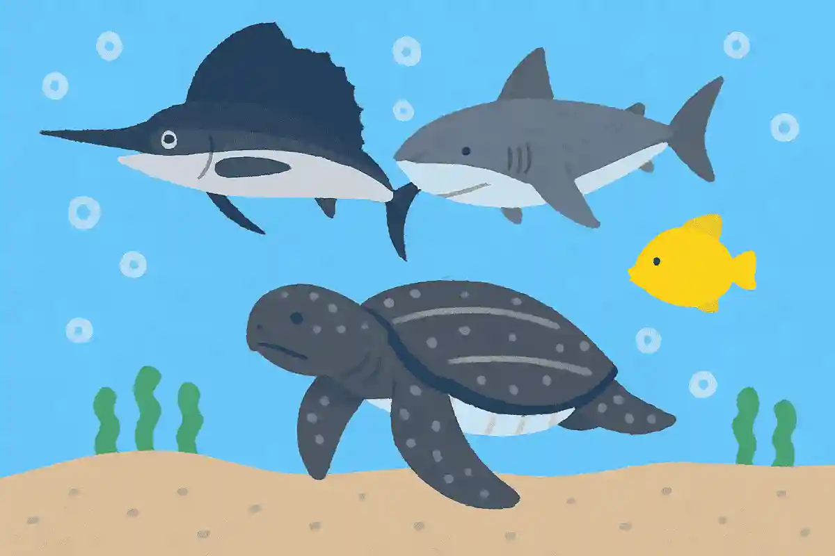 海の中で1番速く泳げる生き物はなんでしょう？NEW!