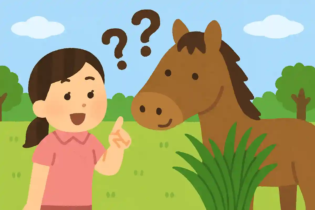 馬は何を食べる動物でしょう？NEW!