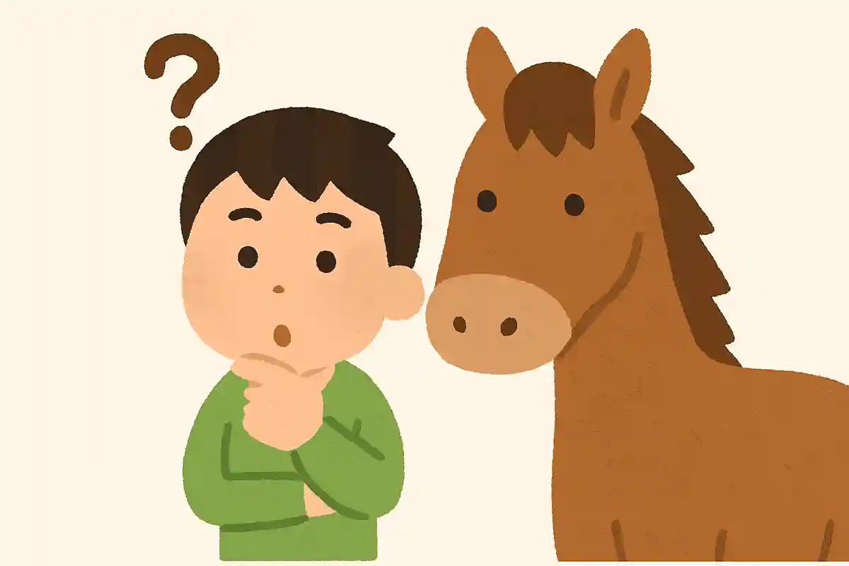 馬の寿命は一般的にどのくらいでしょうかNEW!