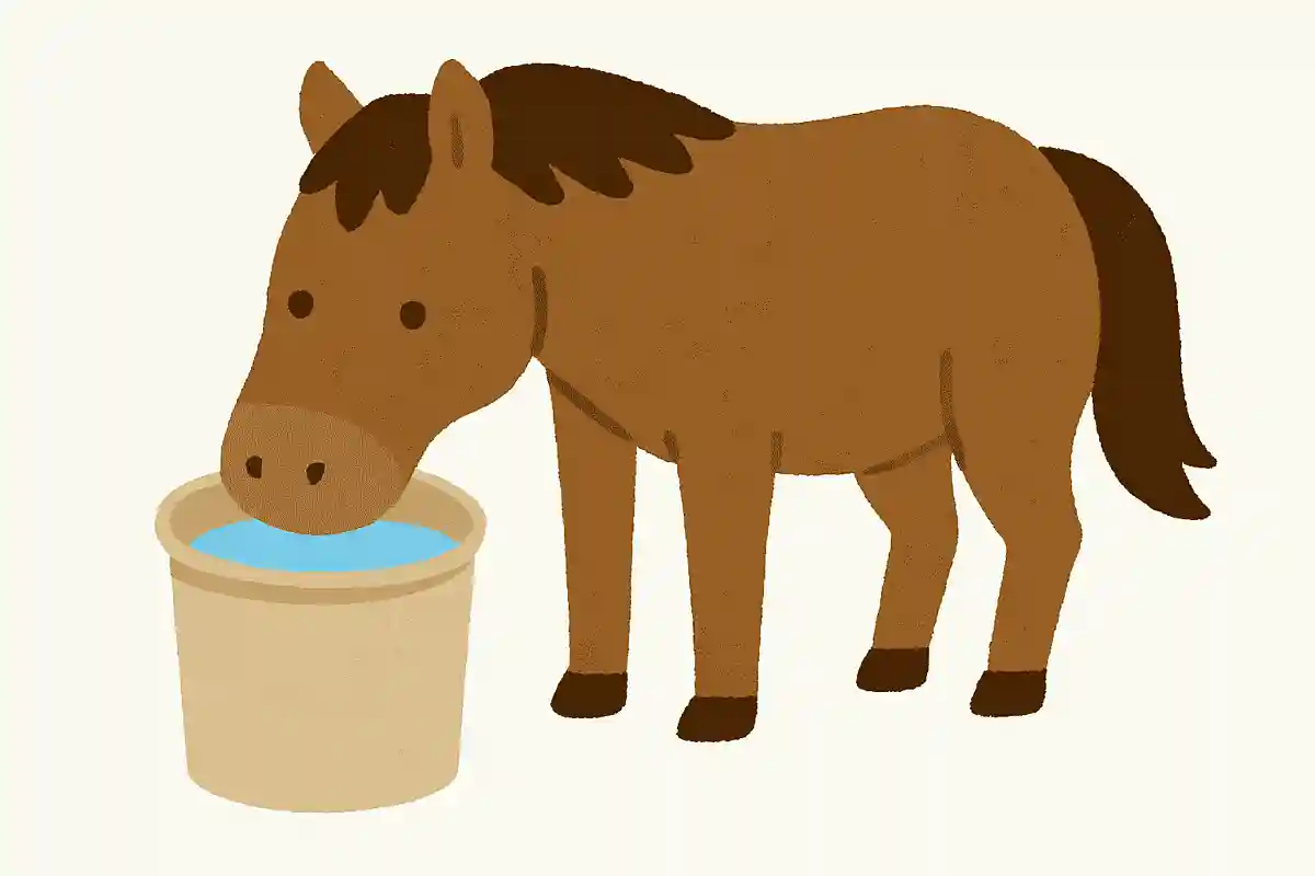 馬が1日に水を飲む量はどのくらいでしょうNEW!